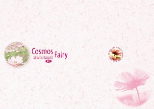 Cosmos Fairy